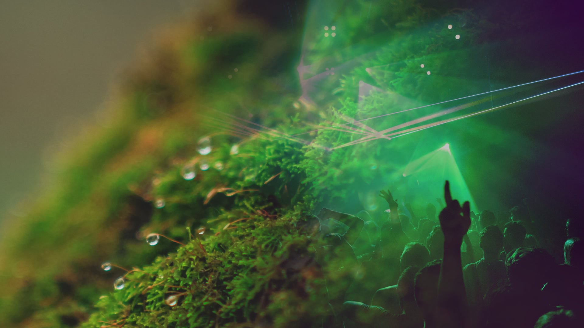 Forest Elixir® — Microbiome Skincare